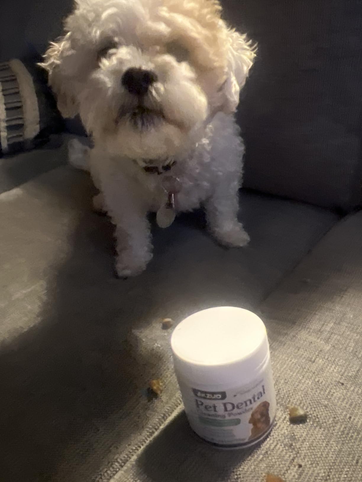 Photo shared by Jamie Hartigan with their dental powder review